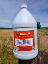 Fermented Plant Extracts: Watermelon Seasonal
